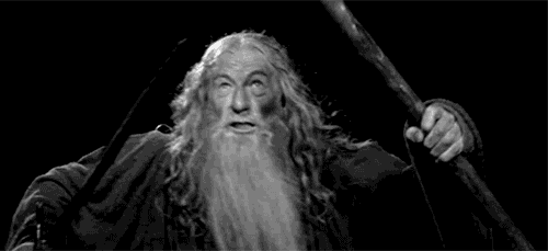 Gandalf blocking the bridge: you shall not pass.